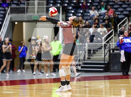 Thumbnail 1 in Crawford vs. Iola (UIL 2A Volleyball Final) photogallery.