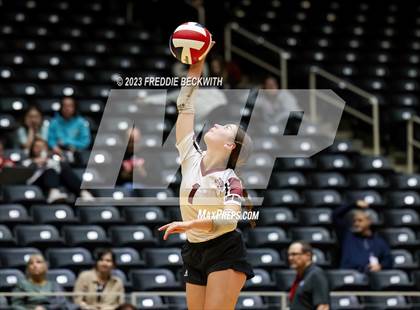 Thumbnail 1 in Crawford vs. Iola (UIL 2A Volleyball Final) photogallery.