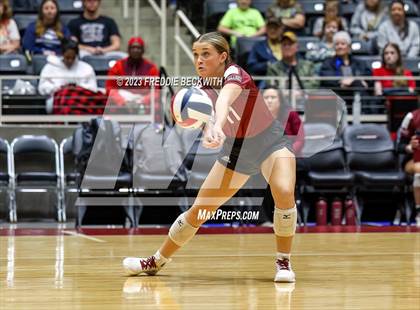 Thumbnail 3 in Crawford vs. Iola (UIL 2A Volleyball Final) photogallery.