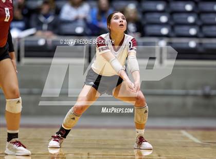 Thumbnail 3 in Crawford vs. Iola (UIL 2A Volleyball Final) photogallery.