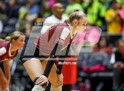 Thumbnail 3 in Crawford vs. Iola (UIL 2A Volleyball Final) photogallery.