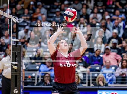Thumbnail 1 in Crawford vs. Iola (UIL 2A Volleyball Final) photogallery.