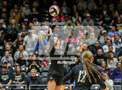 Thumbnail 1 in Crawford vs. Iola (UIL 2A Volleyball Final) photogallery.