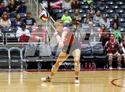 Thumbnail 1 in Crawford vs. Iola (UIL 2A Volleyball Final) photogallery.