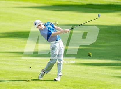 Thumbnail 3 in Braintree @ Needham photogallery.