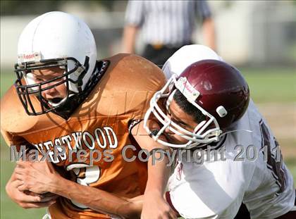 Thumbnail 3 in Austin Freshman White  @ Round Rock Westwood Freshman White photogallery.