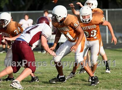 Thumbnail 3 in Austin Freshman White  @ Round Rock Westwood Freshman White photogallery.