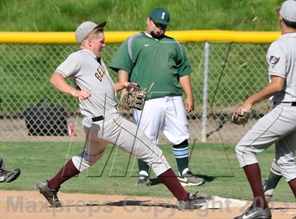 Thumbnail 1 in Bellflower @ Irvine (CIF-SS D2 Wild Card) photogallery.