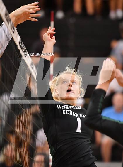 Thumbnail 1 in Cedar Park @ Vandegrift photogallery.