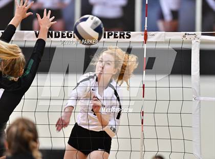 Thumbnail 3 in Cedar Park @ Vandegrift photogallery.