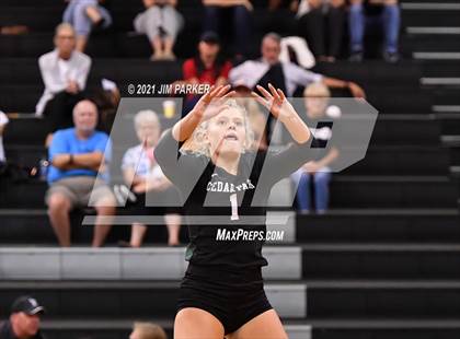 Thumbnail 3 in Cedar Park @ Vandegrift photogallery.