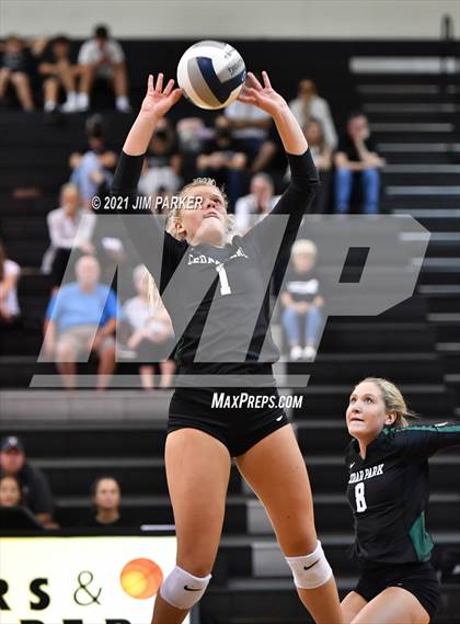 Thumbnail 3 in Cedar Park @ Vandegrift photogallery.