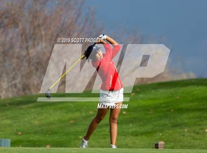 Thumbnail 1 in Great Oak vs King photogallery.