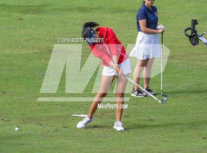 Thumbnail 3 in Great Oak vs King photogallery.
