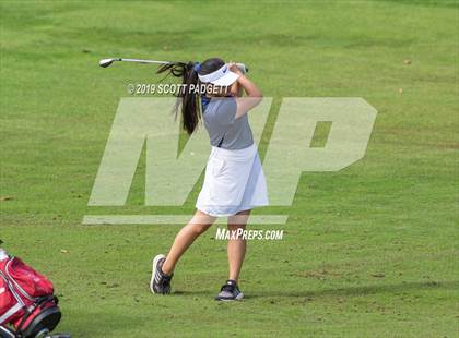 Thumbnail 1 in Great Oak vs King photogallery.