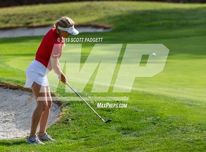Thumbnail 1 in Great Oak vs King photogallery.