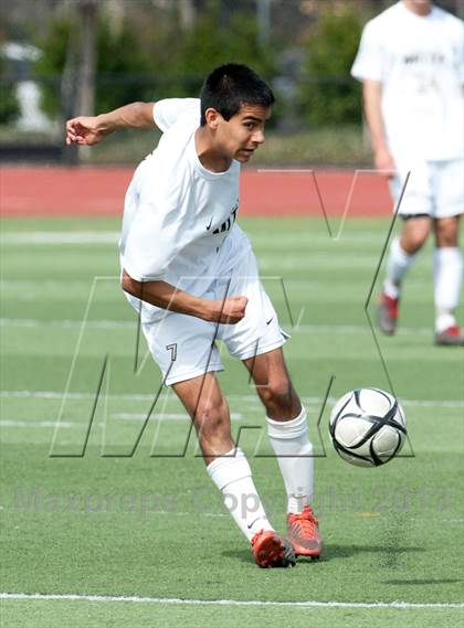 Thumbnail 2 in Archbishop Mitty vs. Lincoln (CIF CCS D2 Final) photogallery.