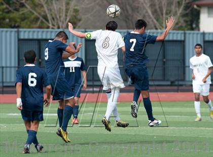 Thumbnail 1 in Archbishop Mitty vs. Lincoln (CIF CCS D2 Final) photogallery.