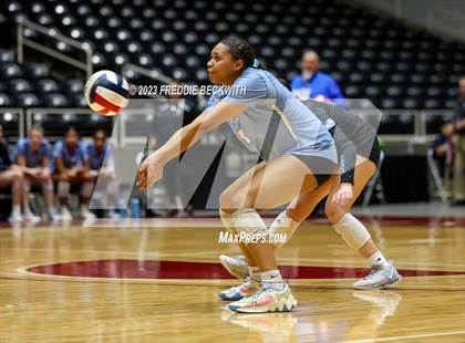 Thumbnail 3 in Harlan vs. Cinco Ranch (UIL 6A Volleyball Semi-Final) photogallery.