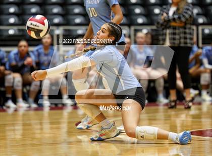 Thumbnail 3 in Harlan vs. Cinco Ranch (UIL 6A Volleyball Semi-Final) photogallery.
