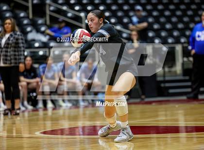 Thumbnail 1 in Harlan vs. Cinco Ranch (UIL 6A Volleyball Semi-Final) photogallery.