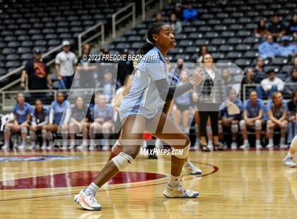 Thumbnail 3 in Harlan vs. Cinco Ranch (UIL 6A Volleyball Semi-Final) photogallery.