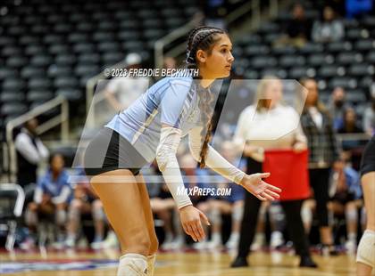 Thumbnail 3 in Harlan vs. Cinco Ranch (UIL 6A Volleyball Semi-Final) photogallery.