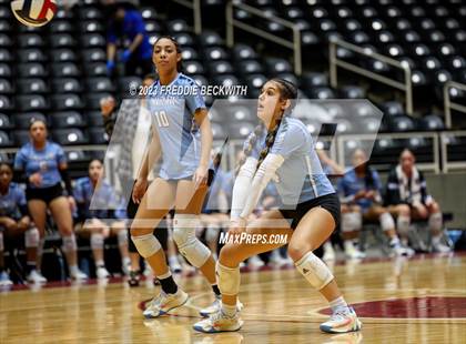 Thumbnail 1 in Harlan vs. Cinco Ranch (UIL 6A Volleyball Semi-Final) photogallery.