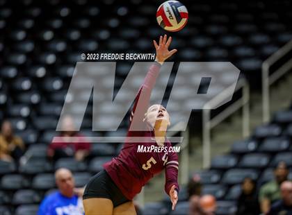 Thumbnail 1 in Harlan vs. Cinco Ranch (UIL 6A Volleyball Semi-Final) photogallery.