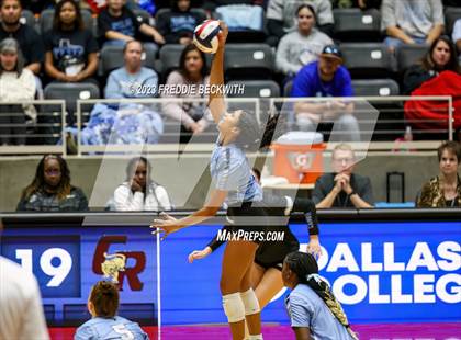 Thumbnail 1 in Harlan vs. Cinco Ranch (UIL 6A Volleyball Semi-Final) photogallery.