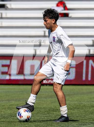null - Photo 31