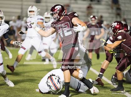 Thumbnail 1 in King @ Paloma Valley photogallery.