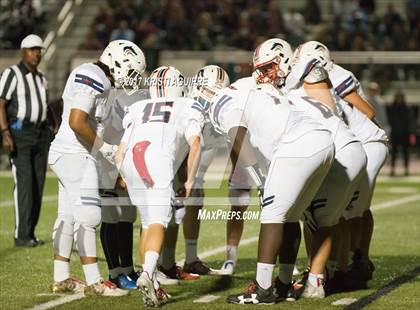 Thumbnail 3 in King @ Paloma Valley photogallery.