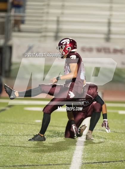 Thumbnail 3 in King @ Paloma Valley photogallery.