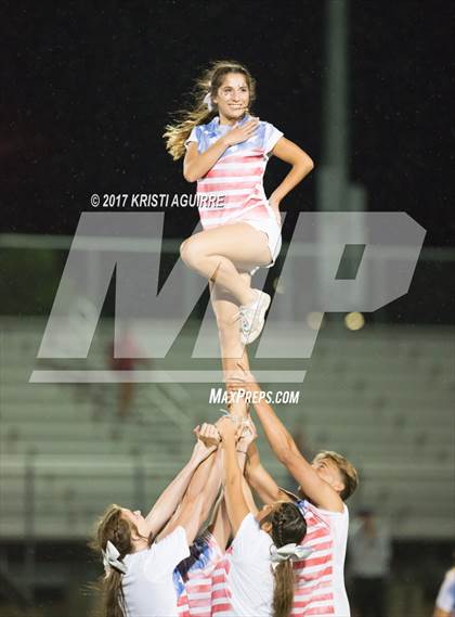 Thumbnail 2 in King @ Paloma Valley photogallery.