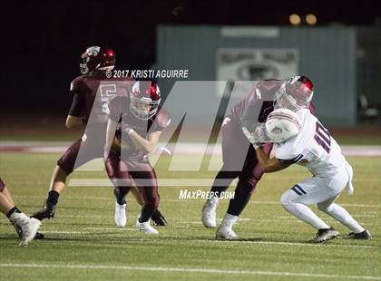 Thumbnail 2 in King @ Paloma Valley photogallery.