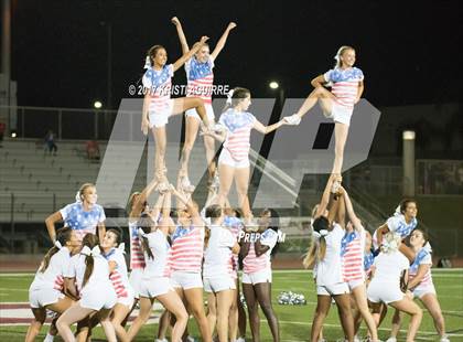 Thumbnail 2 in King @ Paloma Valley photogallery.