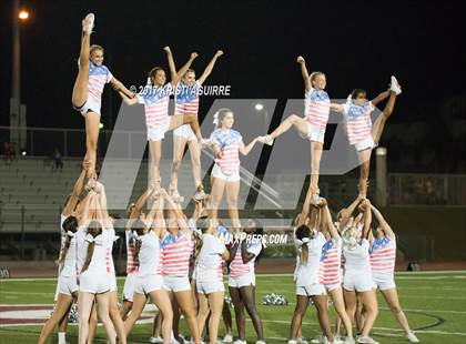 Thumbnail 3 in King @ Paloma Valley photogallery.