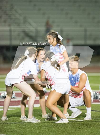 Thumbnail 3 in King @ Paloma Valley photogallery.