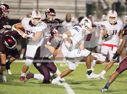 Thumbnail 2 in King @ Paloma Valley photogallery.