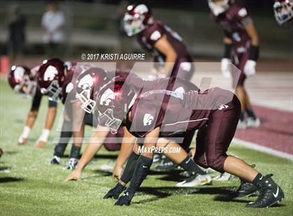 Thumbnail 2 in King @ Paloma Valley photogallery.