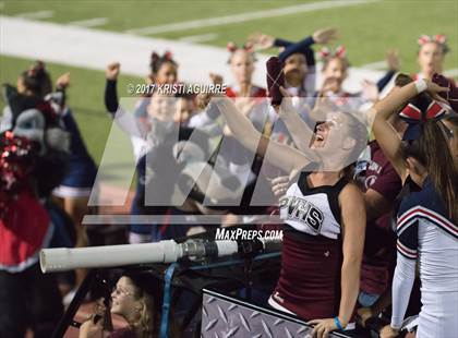 Thumbnail 3 in King @ Paloma Valley photogallery.