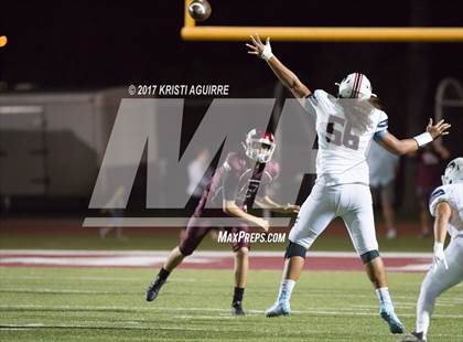 Thumbnail 2 in King @ Paloma Valley photogallery.