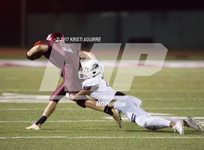 Thumbnail 2 in King @ Paloma Valley photogallery.