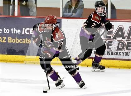 Thumbnail 1 in D2 Tucson Roadrunners vs. D2 Desert Vista photogallery.