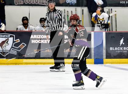 Thumbnail 3 in D2 Tucson Roadrunners vs. D2 Desert Vista photogallery.
