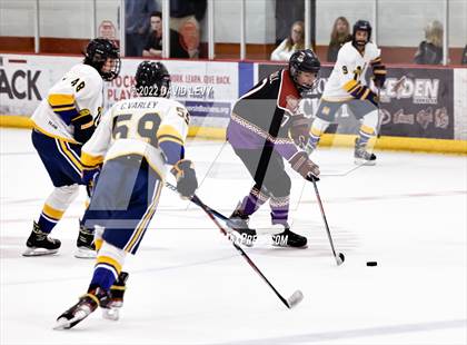 Thumbnail 1 in D2 Tucson Roadrunners vs. D2 Desert Vista photogallery.