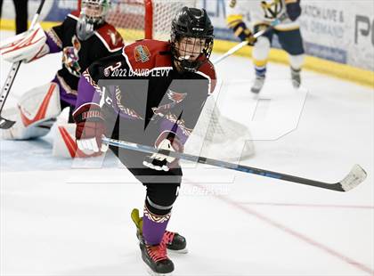 Thumbnail 2 in D2 Tucson Roadrunners vs. D2 Desert Vista photogallery.