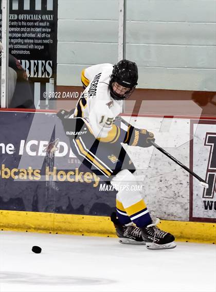 Thumbnail 1 in D2 Tucson Roadrunners vs. D2 Desert Vista photogallery.