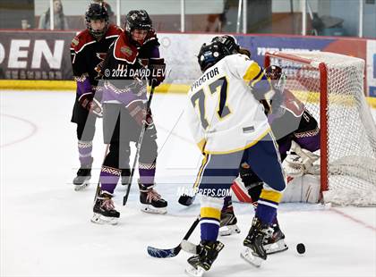 Thumbnail 1 in D2 Tucson Roadrunners vs. D2 Desert Vista photogallery.